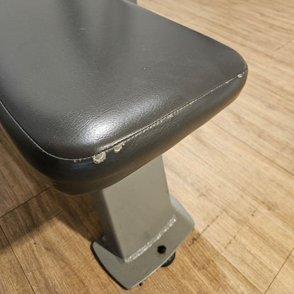 Nautilus Flachdrückerbank, Olympic Flat Bench, Bankdrückbank Flach mit Ablagen, sehr stabil, Rahmebfarbe Silber, gebraucht - überholter Zustand