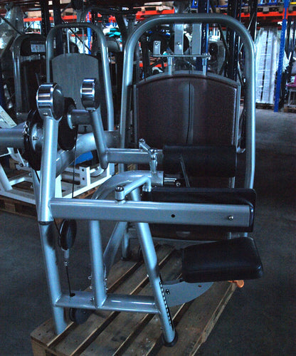 Realleader Seithebe / Schultermaschine / Lateral Raise, Silber, gebraucht - überholter Zustand