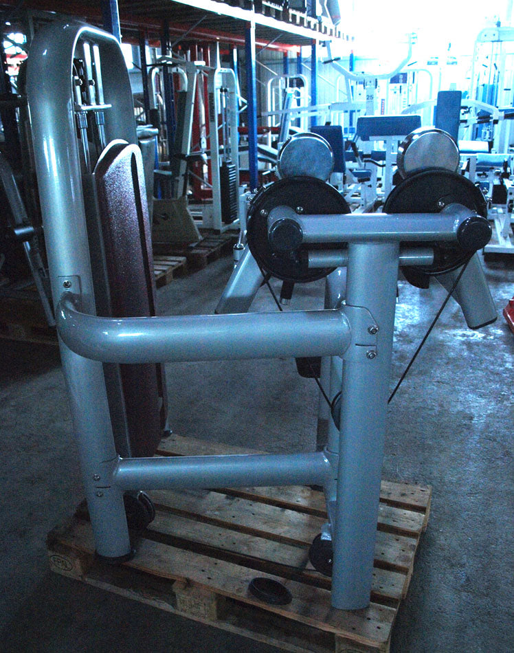 Realleader Seithebe / Schultermaschine / Lateral Raise, Silber, gebraucht - überholter Zustand