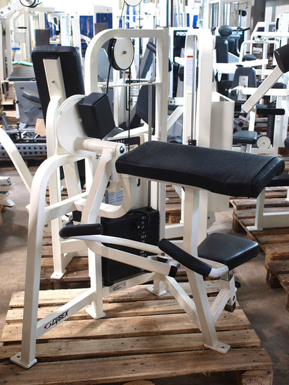 Cybex strength training equipment, 12 fitness machines, color white and black, used