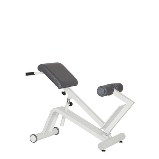 Dynamed Lateral- /Lumbal-Trainer, Stolzenberg - NEU