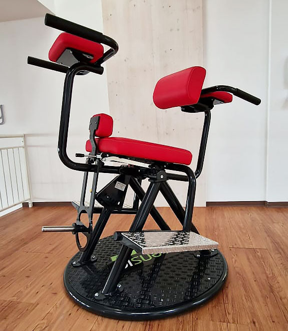 Itensic Circle - Set of 3 medical strength training devices - Effect Trio, manufacturer Proxomed, medical approval MPG, used - refurbished condition