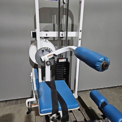 Paramount Back-Ab Model 1800 - Bauchmaschine und Rückenstrecker 2 in 1 Kombimaschine, Lower back and Abdominal, Made in USA, Farbe Weiß, gebraucht - geprüfter Zustand