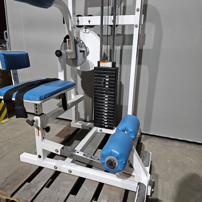 Paramount Back-Ab Model 1800 - Bauchmaschine und Rückenstrecker 2 in 1 Kombimaschine, Lower back and Abdominal, Made in USA, Farbe Weiß, gebraucht - geprüfter Zustand