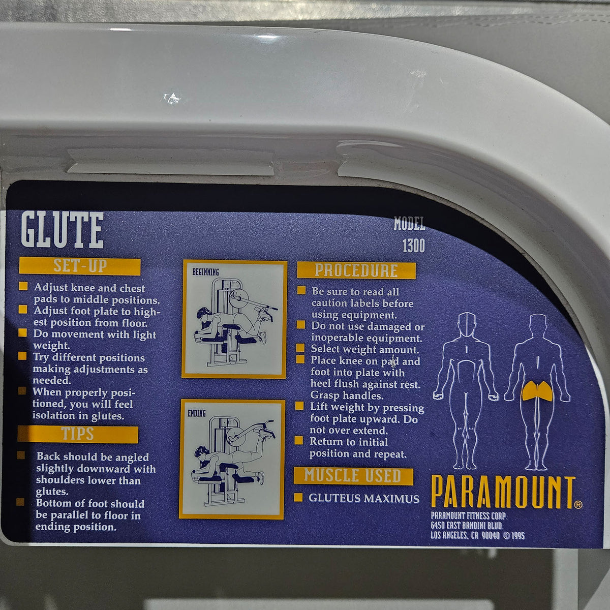 Paramount Glute Model 1300 - Gluteusmaschine Kick, Glute Radial Pomaschine, Made in USA, Farbe Weiß, gebraucht - geprüfter Zustand