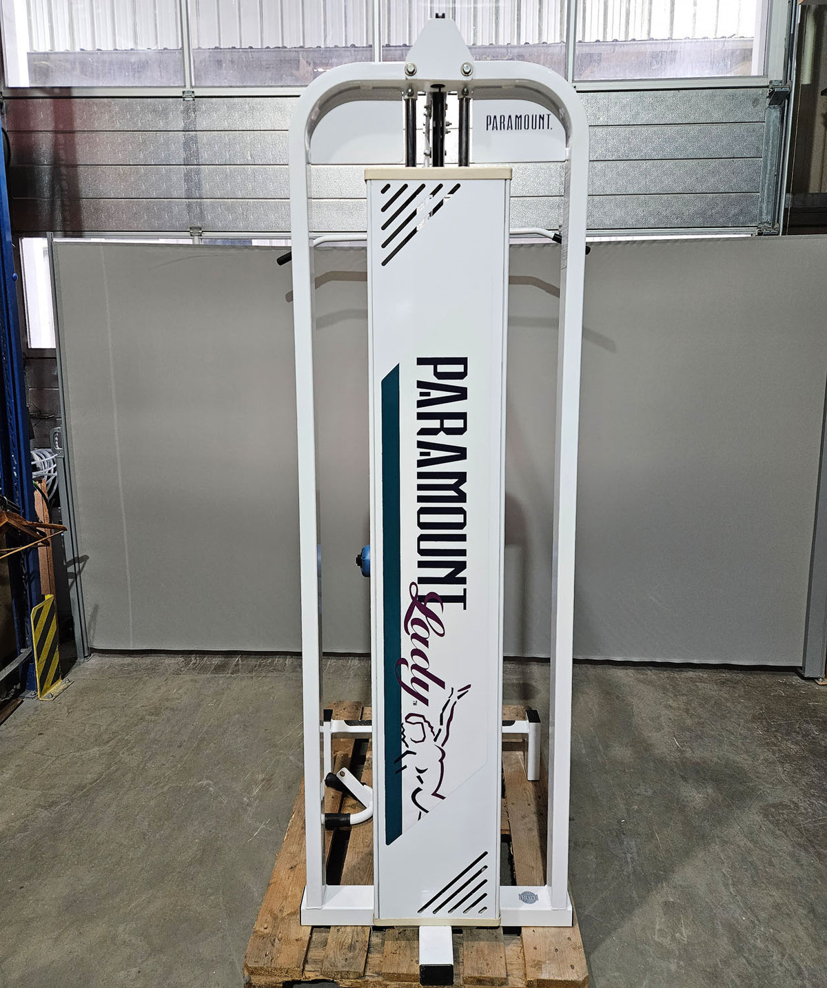 Paramount Lat-Row Model 700 - Latzug von Oben am Kabel sowie Rudern am Kabel - 2 in 1 Kombigerät, Pulldown and Row, Made in USA, gebraucht - geprüfter Zustand