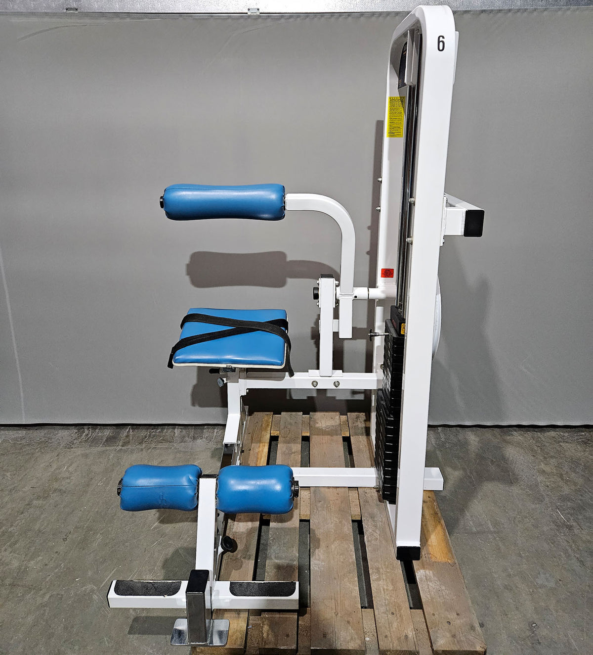 Paramount Lower Back Model FL 1200 - Back Extension, Rückenstreckermaschine, Hyperextension, Made in USA, gebraucht - geprüfter Zustand