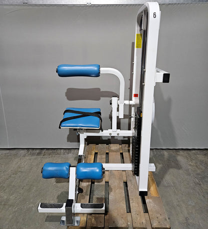Paramount Lower Back Model FL 1200 - Back Extension, Rückenstreckermaschine, Hyperextension, Made in USA, gebraucht - geprüfter Zustand