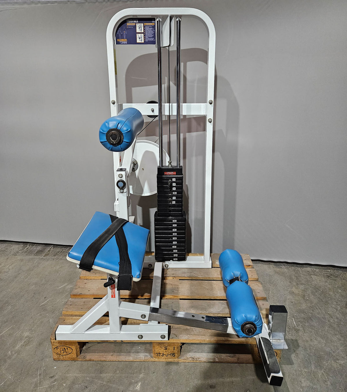 Paramount Lower Back Model FL 1200 - Back Extension, Rückenstreckermaschine, Hyperextension, Made in USA, gebraucht - geprüfter Zustand