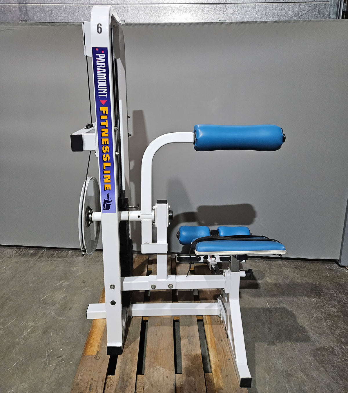 Paramount Lower Back Model FL 1200 - Back Extension, Rückenstreckermaschine, Hyperextension, Made in USA, gebraucht - geprüfter Zustand