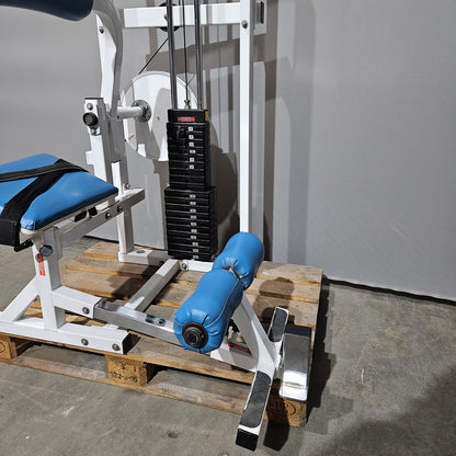 Paramount Lower Back Model FL 1200 - Back Extension, Rückenstreckermaschine, Hyperextension, Made in USA, gebraucht - geprüfter Zustand