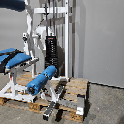 Paramount Lower Back Model FL 1200 - Back Extension, Rückenstreckermaschine, Hyperextension, Made in USA, gebraucht - geprüfter Zustand