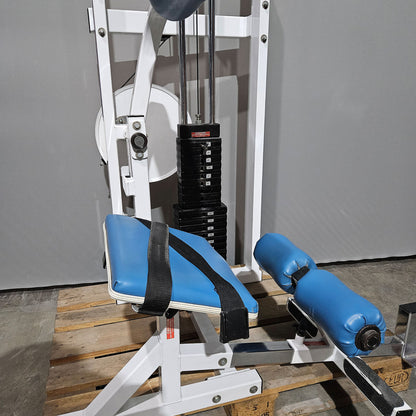 Paramount Lower Back Model FL 1200 - Back Extension, Rückenstreckermaschine, Hyperextension, Made in USA, gebraucht - geprüfter Zustand