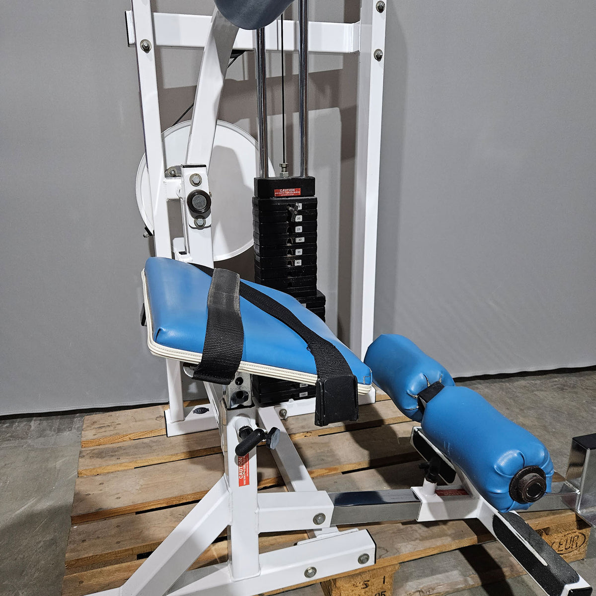 Paramount Lower Back Model FL 1200 - Back Extension, Rückenstreckermaschine, Hyperextension, Made in USA, gebraucht - geprüfter Zustand
