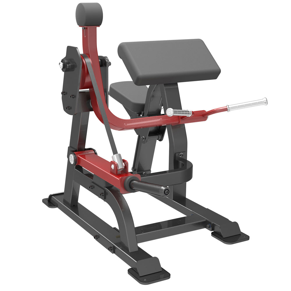 Impulse Fitness SL 7023 Bizeps Curl