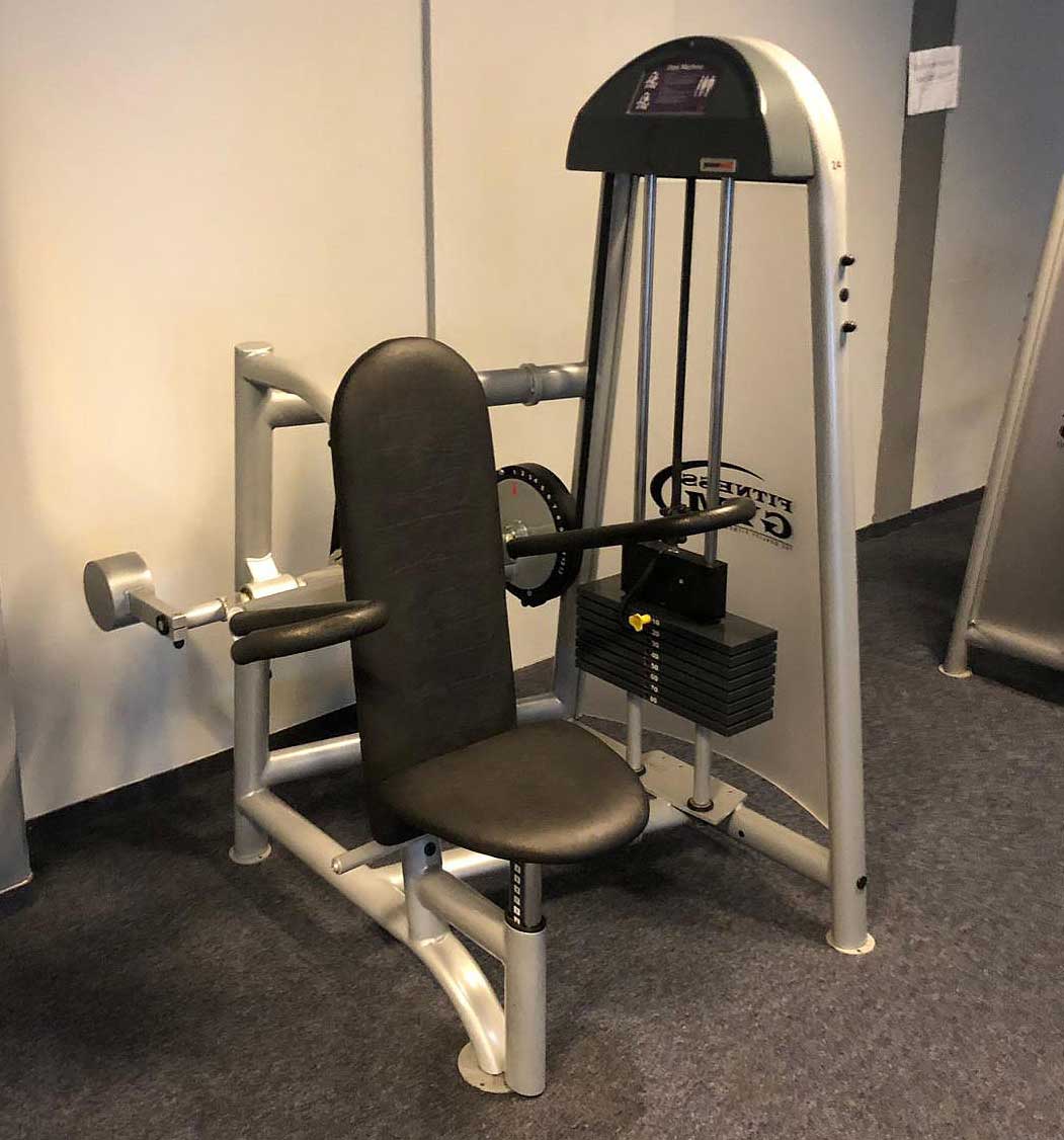 Proxowell bzw Proxomed, Stützstemme, Dips, Trizepsmaschine, Armstrecker, Compass bzw C-Well Serie, gebraucht - überholter Zustand