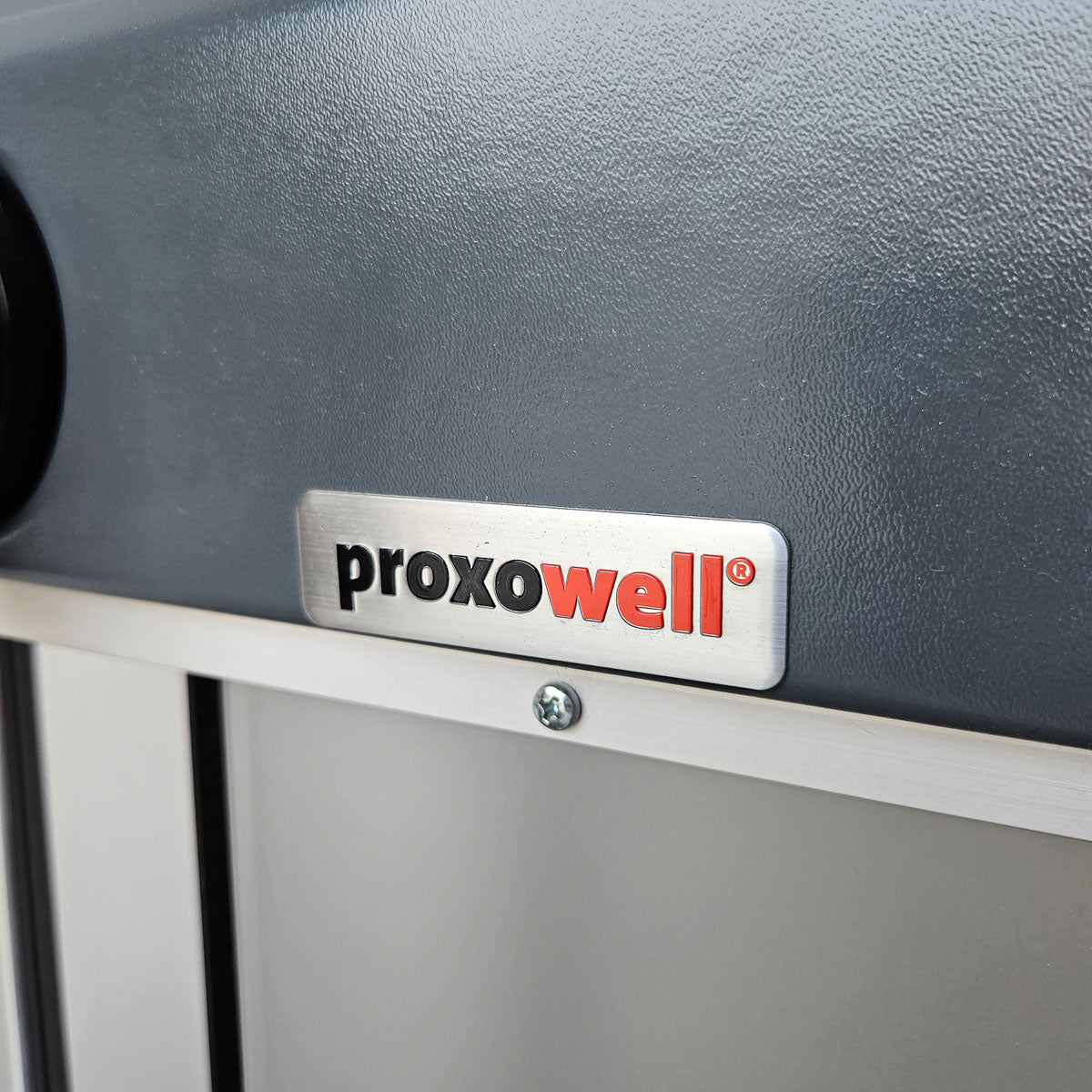 Proxowell bzw Proxomed Rückenflexion, Bauchmaschine, Rückenbeuger, Abdominal Crunch, 100kg Gewichtsblock, Compass bzw C-Well Serie, Rahmenfarbe Silber, gebraucht - überholter Zustand