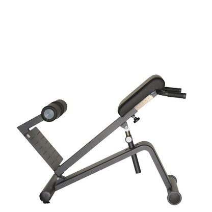 Dynamed Lateral/Lumbar Trainer, Stolzenberg - NEW