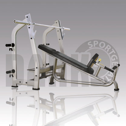 Danksport S-Line strength training equipment, equipment park with approximately 22 fitness machines and accessories, color silver, upholstery brown - New equipment / exhibition equipment