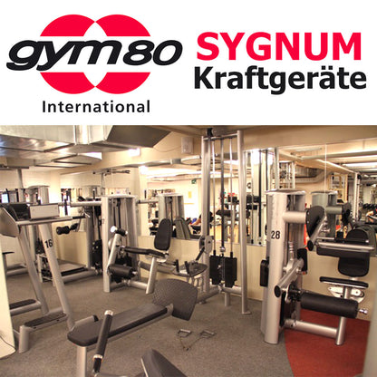 Gym80 Sygnum Einzelgeräte z.B. Kabelzug, Beinstrecker, Latzug, Brustpresse, Gluteus, Seilzug, Drückerbank, Bänke verstellbar Basic, Rückenstrecker etc, gebraucht