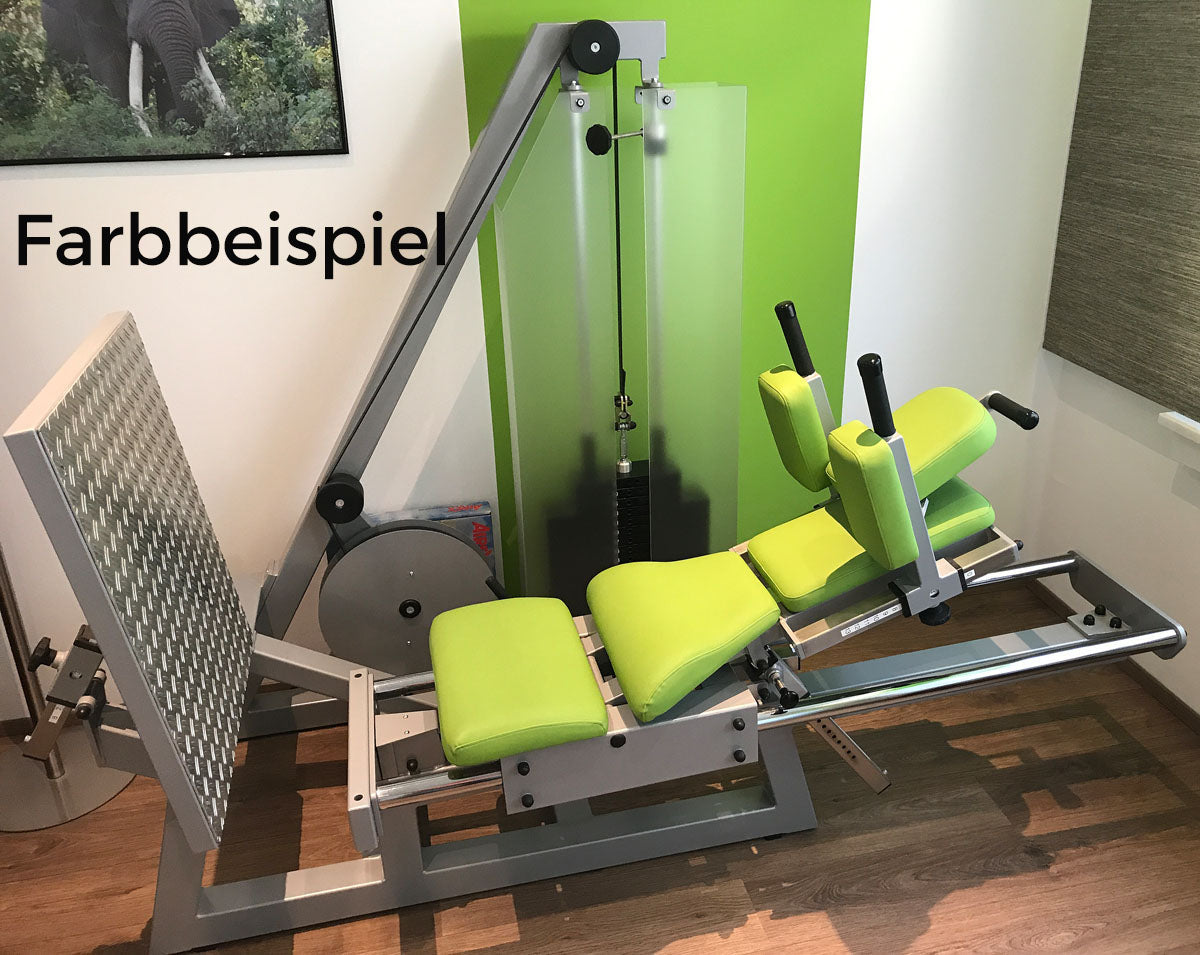 SVG Funktionsstemme, 200kg Gewichte, Kippkreisel, verstellbare Beinpresse, MPG, Reha Line, gebraucht - überholter Zustand