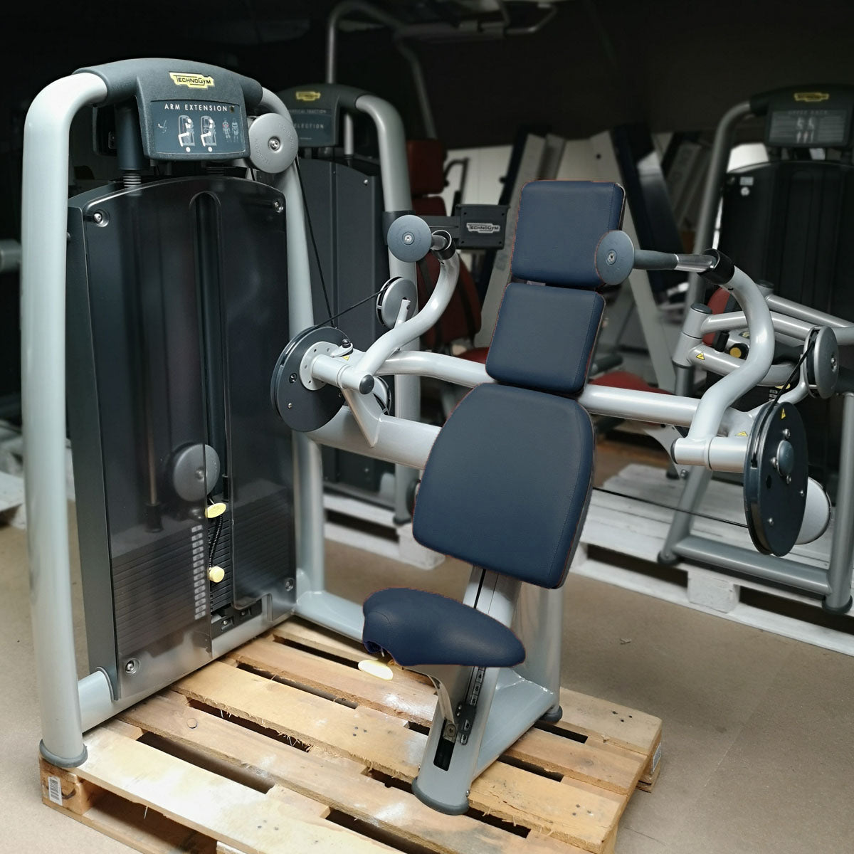 TechnoGym 15 Kraftgeräte im Set, Selection Line, Neue Version mit Plastikverkleidungen, gebraucht - überholter Zustand