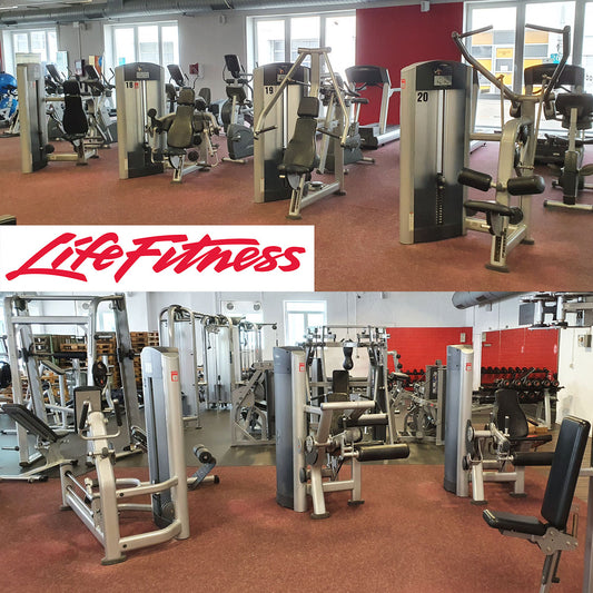 Life Fitness Set 19 Kraftgeräte, Signature und Pro2 Serie, Rahmen Silber, Polster Schwarz, gebraucht - überholter Zustand