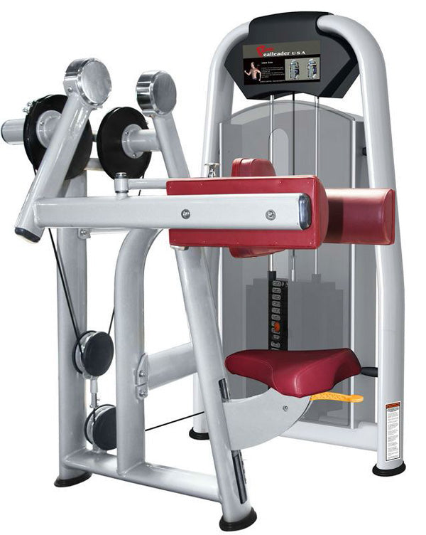 Realleader Seithebe / Schultermaschine / Lateral Raise, Silber, gebraucht - überholter Zustand