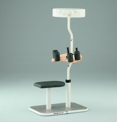 Kettler Rotationstrainer Sequenzgerät, Ausstellungsstück