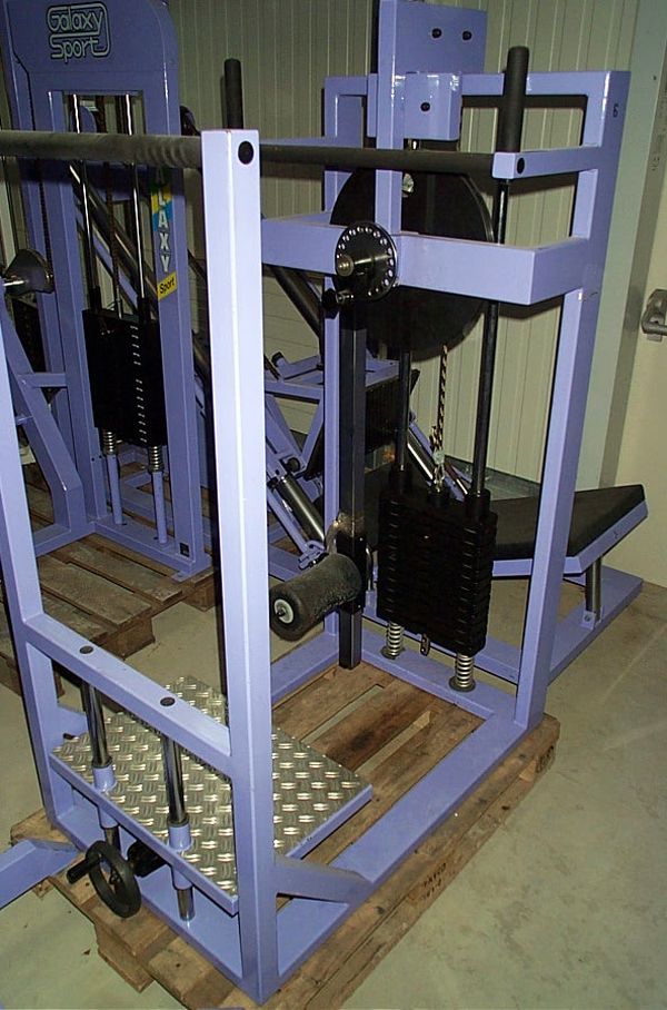 Galaxy Multihip/ hip pendulum, standing, lilac, used