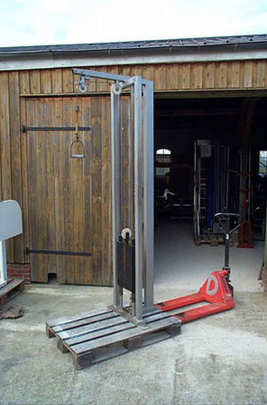 Galaxy Trizepsmaschine von oben mit 60kg Gewichtsblock, silber, gebraucht
