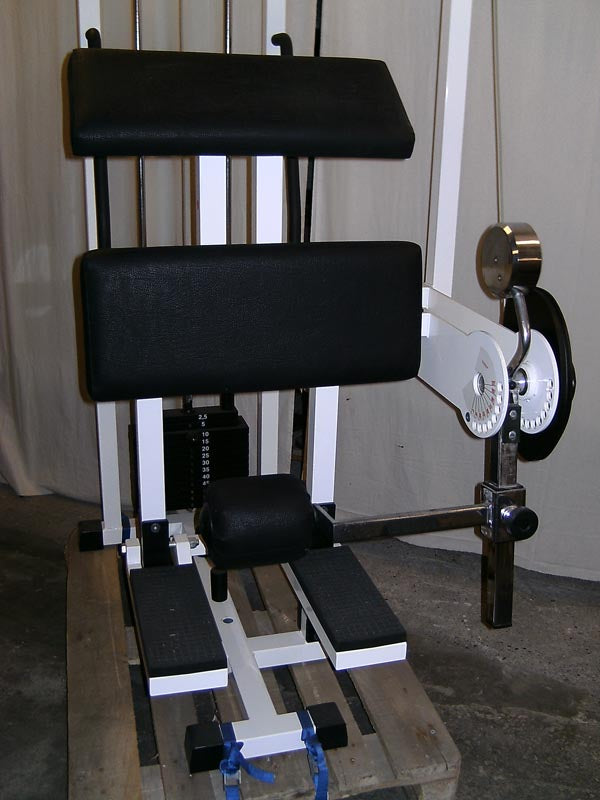 TechnoGym M427, Beinbeuger stehend, weiß, gebraucht