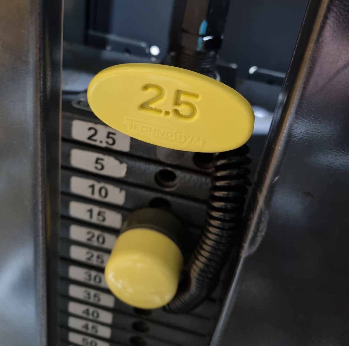 Technogym Butterfly, Pectoral Fly, Einstiegshilfe, Selection Line - Neues Modell mit Plastikverkleidung, Rahmenfarbe Silber, gebraucht - überholter Zustand